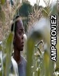 40 Acres (2024) HQ Bengali Dubbed Movie